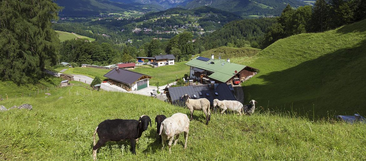 Ferienwohnungen Laxerlehen in Schönau am Königssee im Berchtesgadener Land